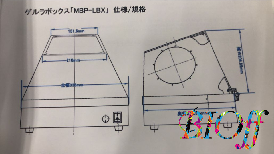 画像17