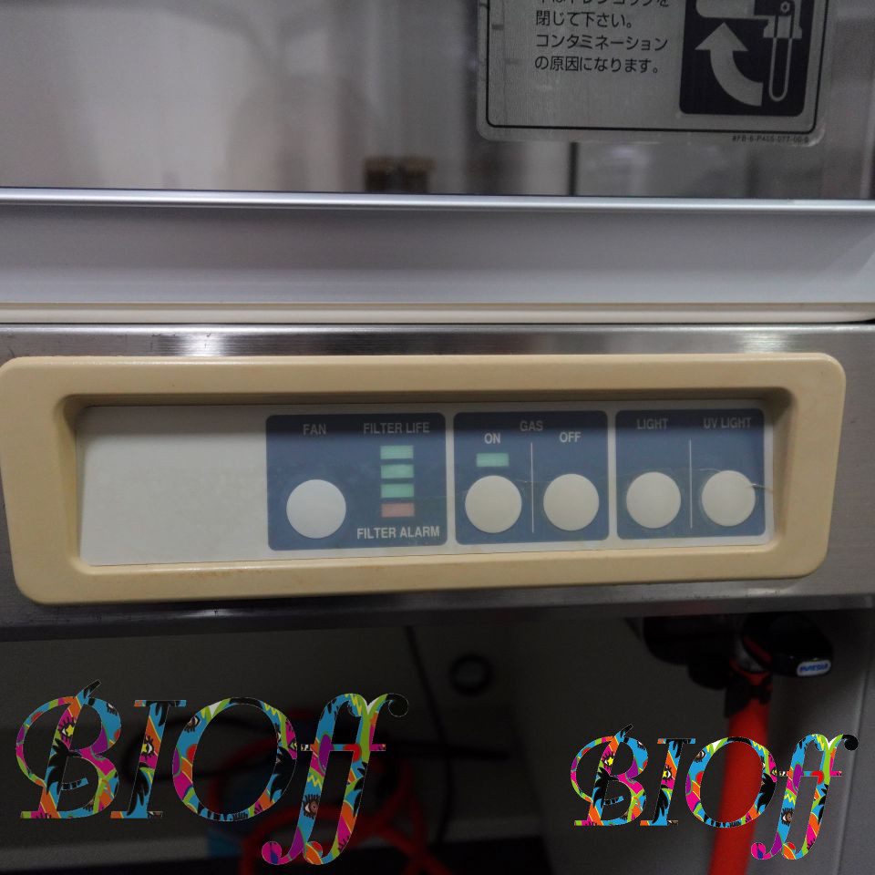 画像9