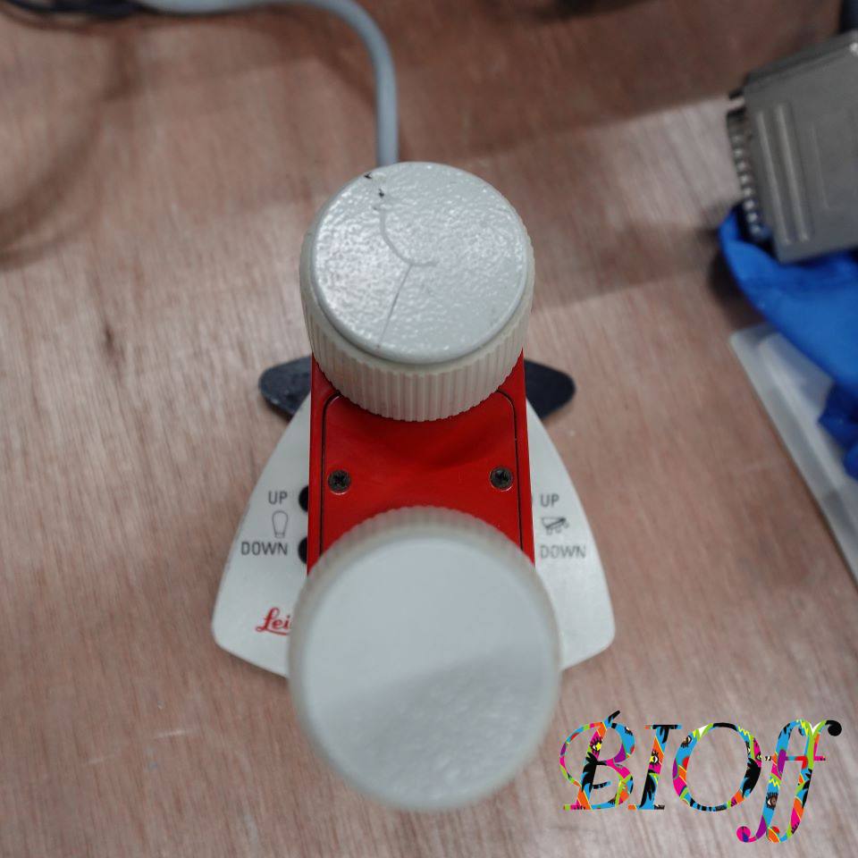 画像12