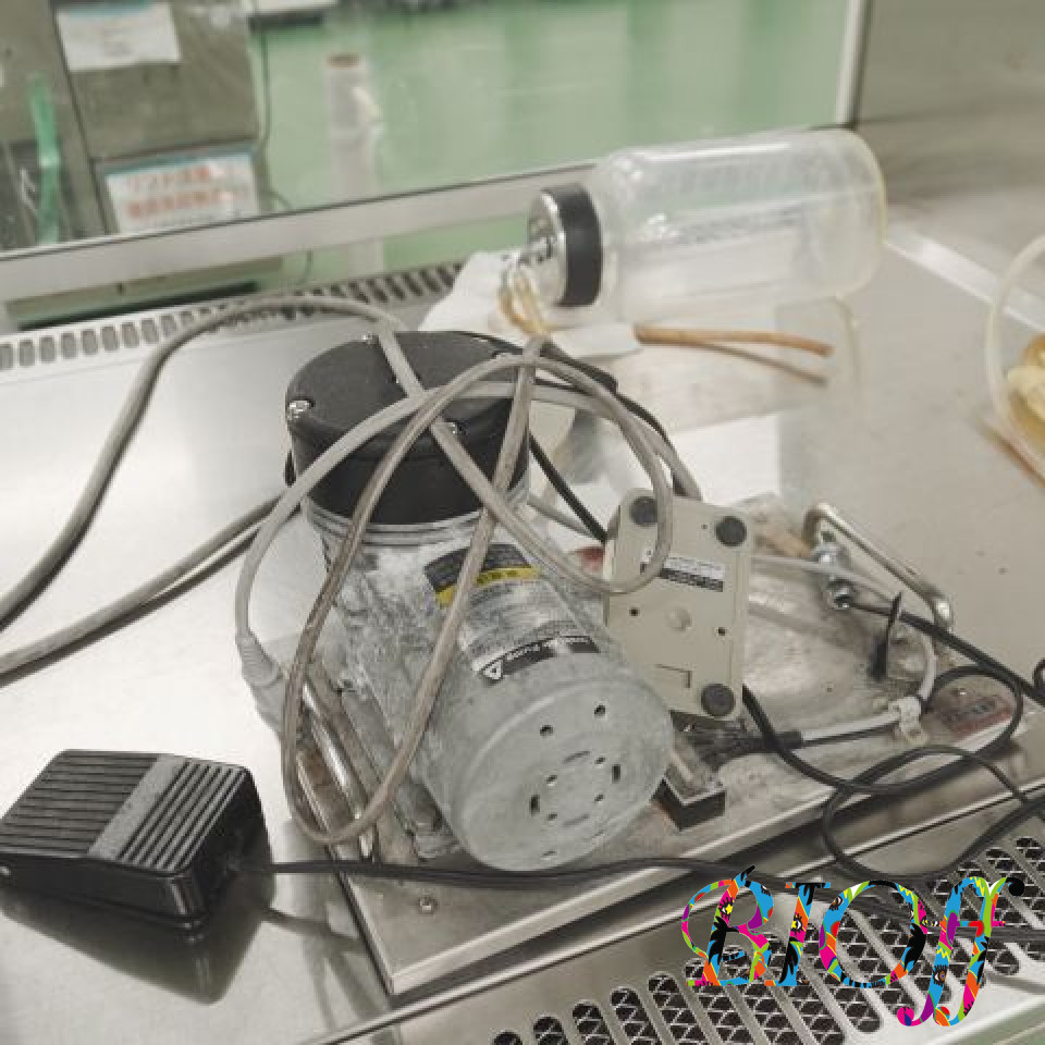 画像9