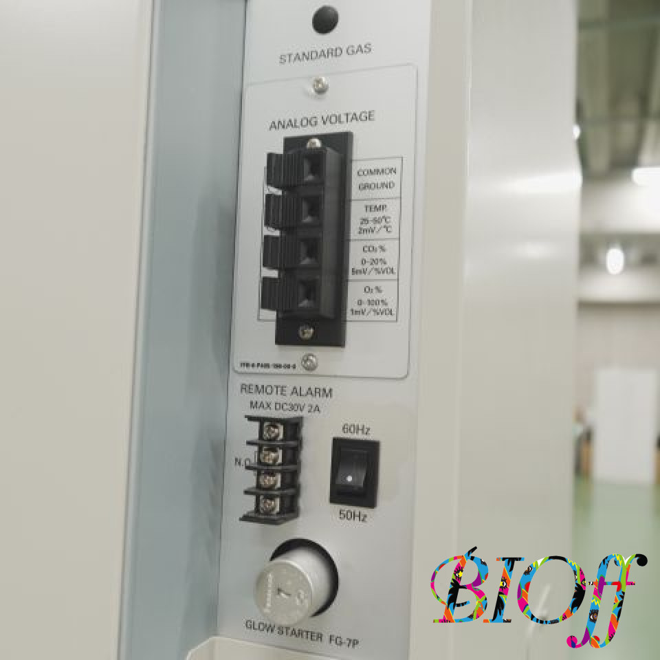 画像11