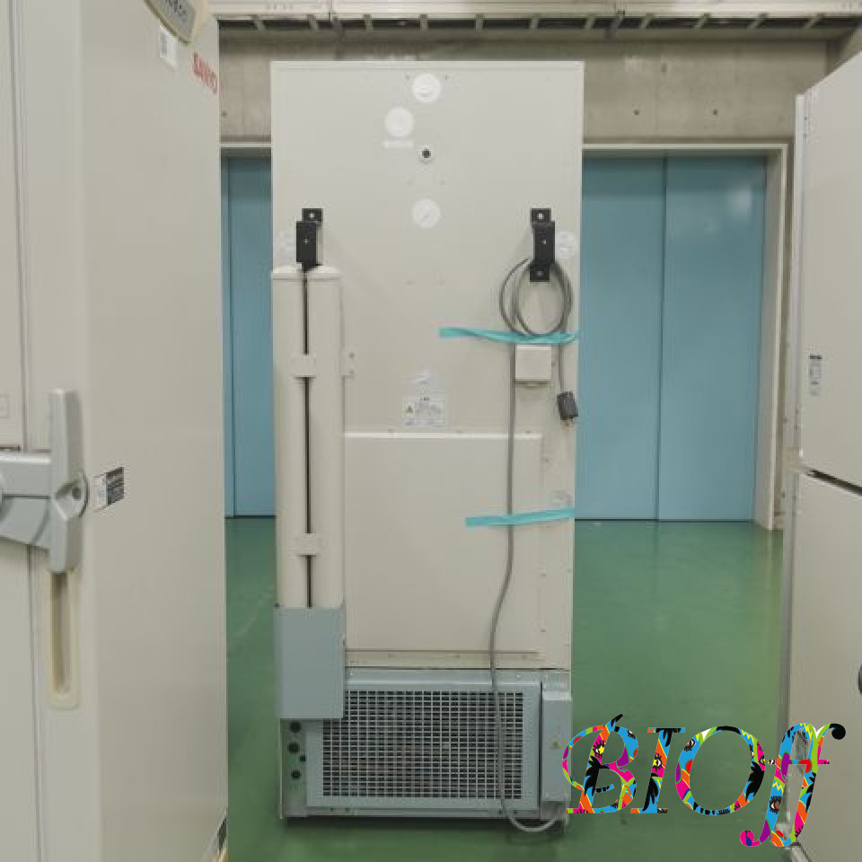 画像7