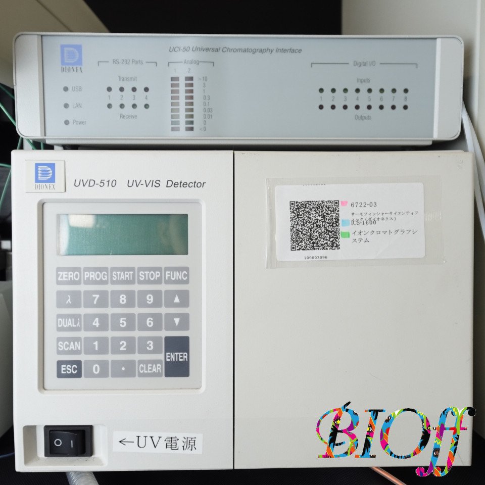 画像12