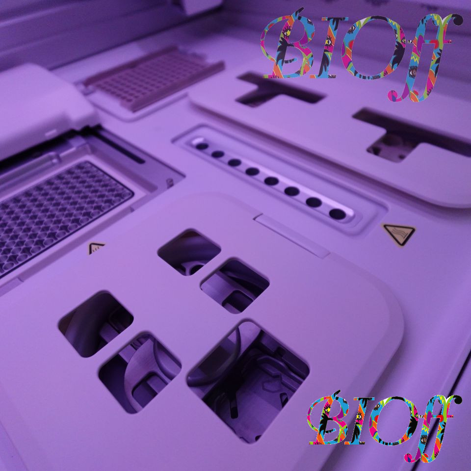 画像9