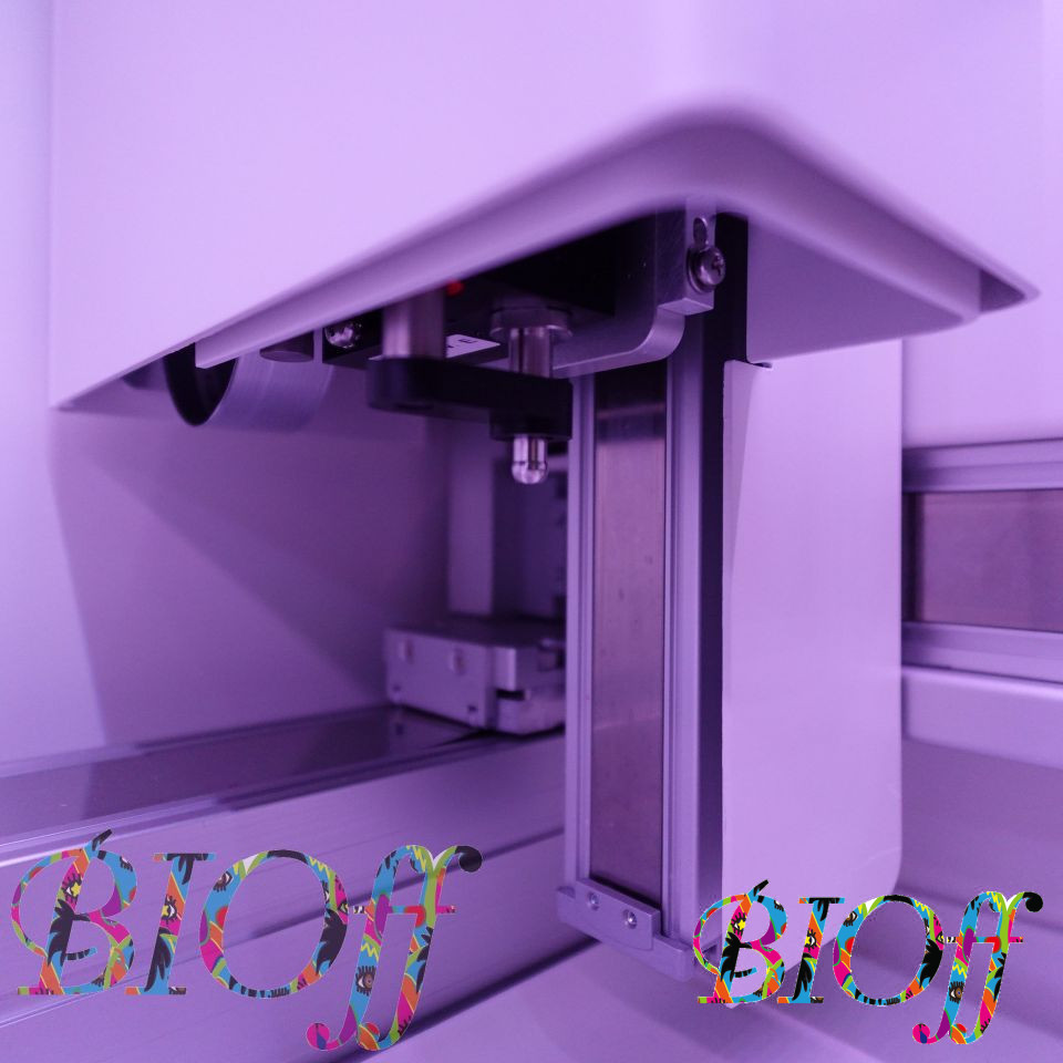 画像11